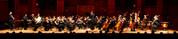 Delta Symphony Orchestra